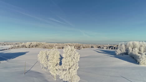 aerial flyover beautiful winter scenery covered with white snow during sunny day with blue sky - idyllic snowy landscape in nature