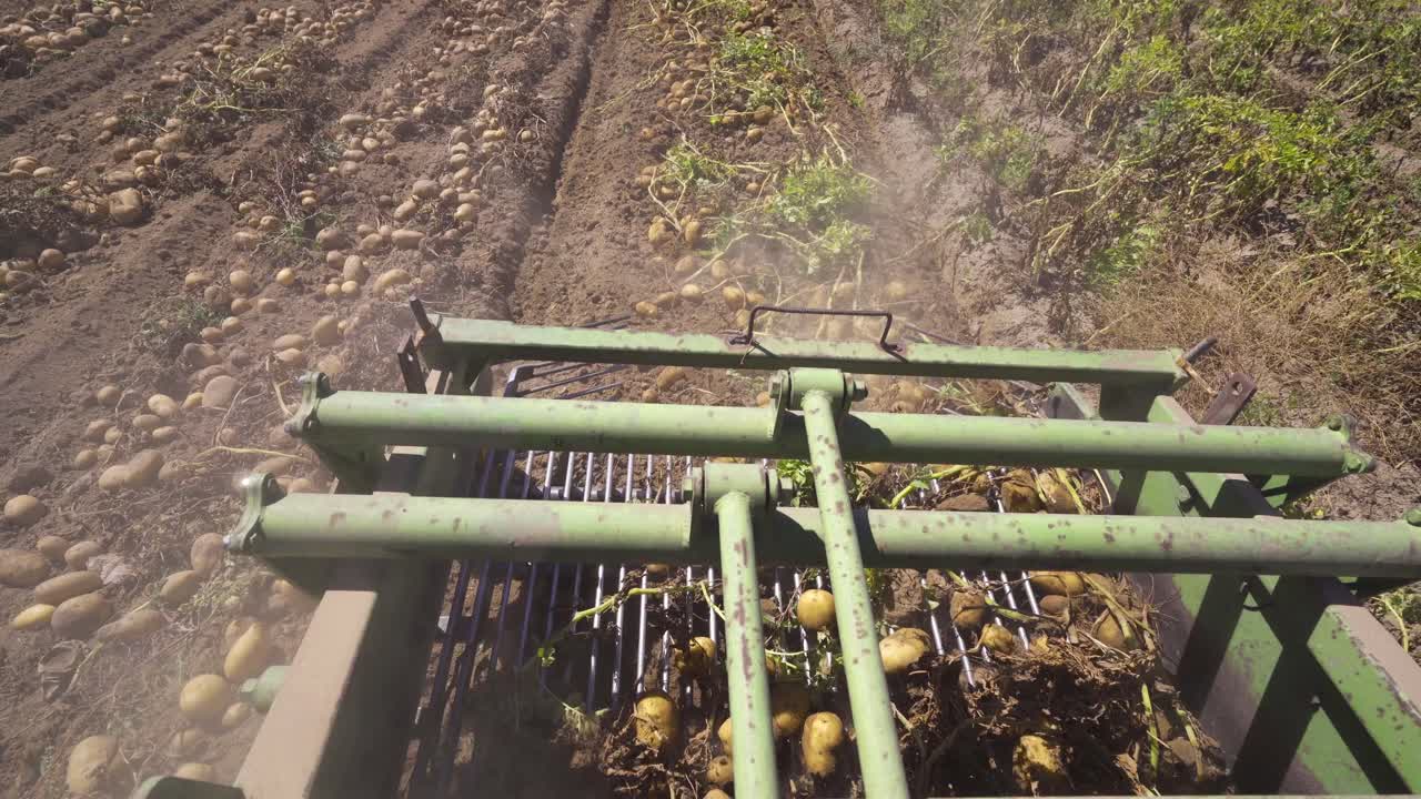 la cosechadora de patatas en el campo de patatas.