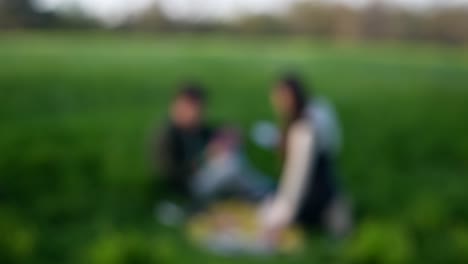 couple playing cards in a park
