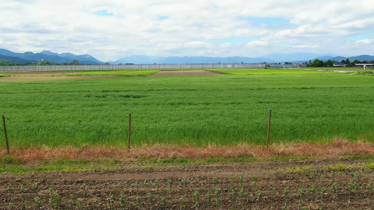 Fast fun aerial low flying drone view over horizontal farm lines and green grass