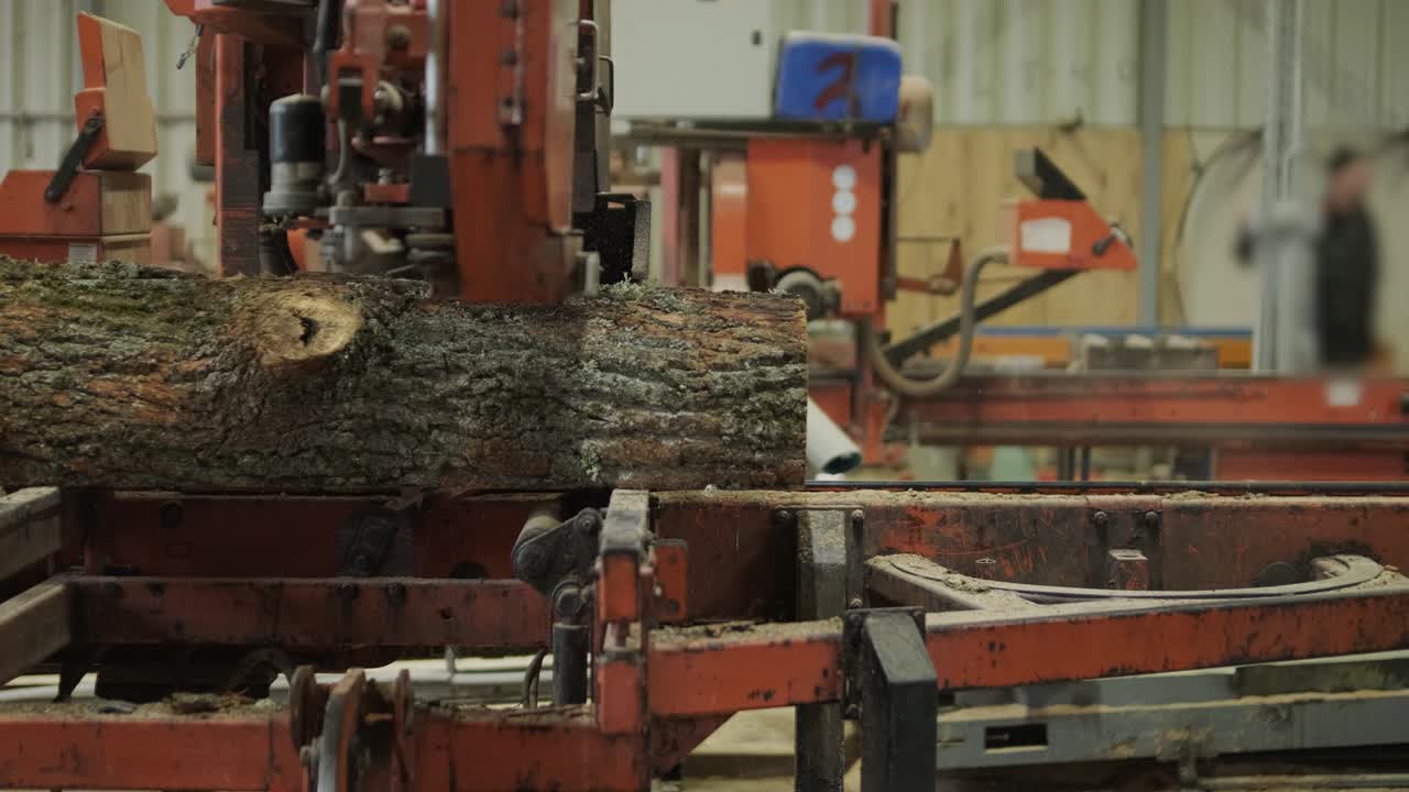 Sawmill Machine Cutting Large Log into Timber