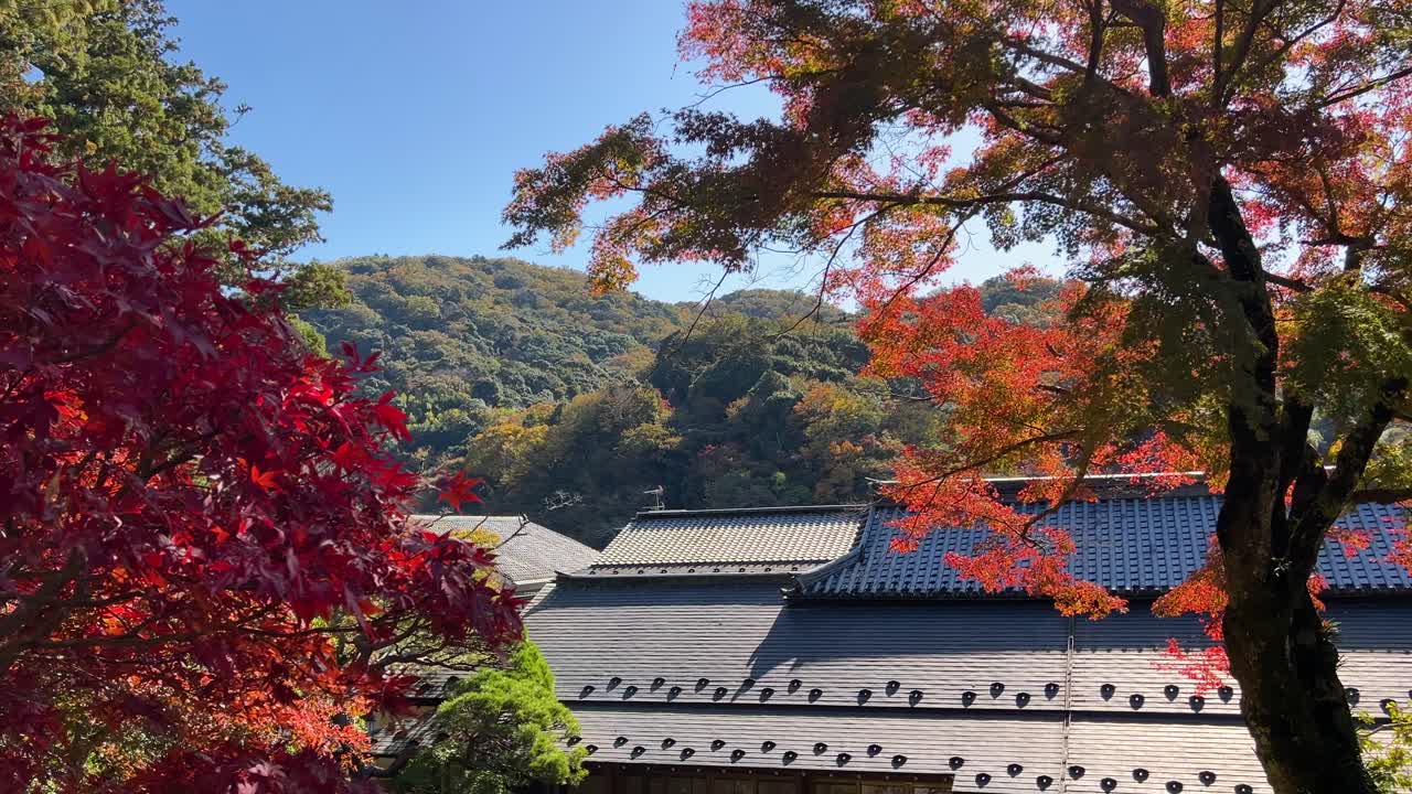 impresionante paisaje de otoño en el jardín paisajístico en shuzenji, japón