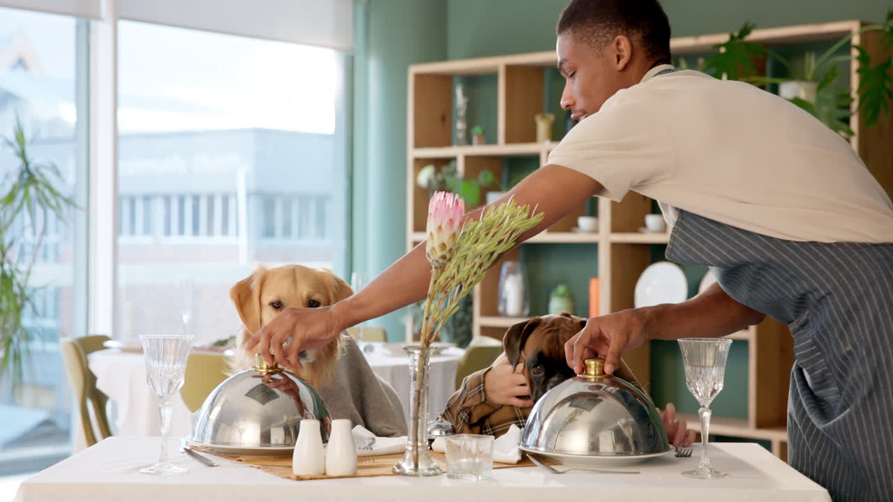 Dogs being served at a restaurant