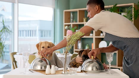dogs being served at a restaurant