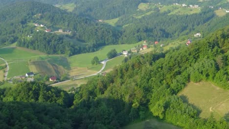 Small-countryside-village-between-green-meadows-and-forest