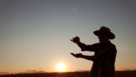 dark silhouette of a famer in hat pouring the grains from hand to hand at sunset. man checks if the wheat ready to be harvested.