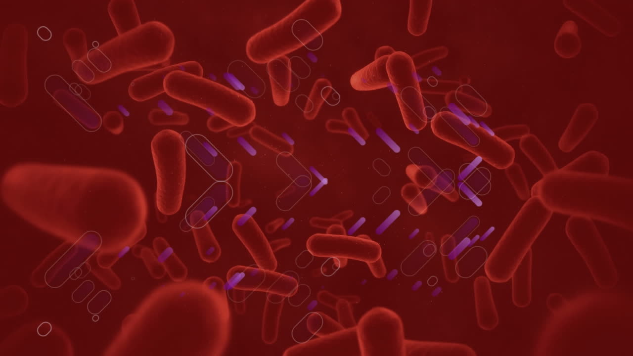 Animation of purple light trails over blood vessels against red background