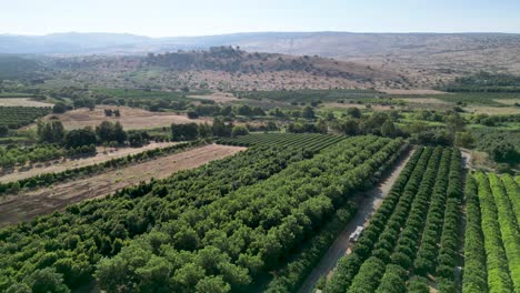 4K-high-resolution-drone-video-of-the-She'ar-Yashuv-village--Northern-Israel-during-the-summer-months--Israel