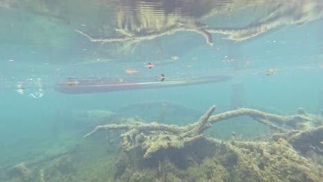 kayak gliding through krabi's clear waters