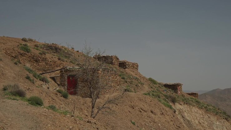 Rovine di pietra fatiscenti e un albero morto spoglio si aggrappano a un arido pendio roccioso sotto un cielo desertico grigio.