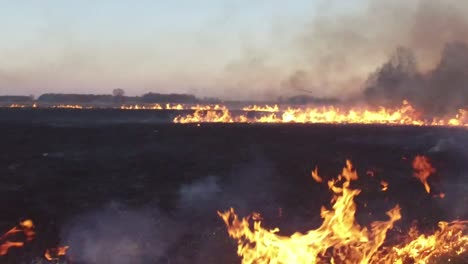 field fire at sunset