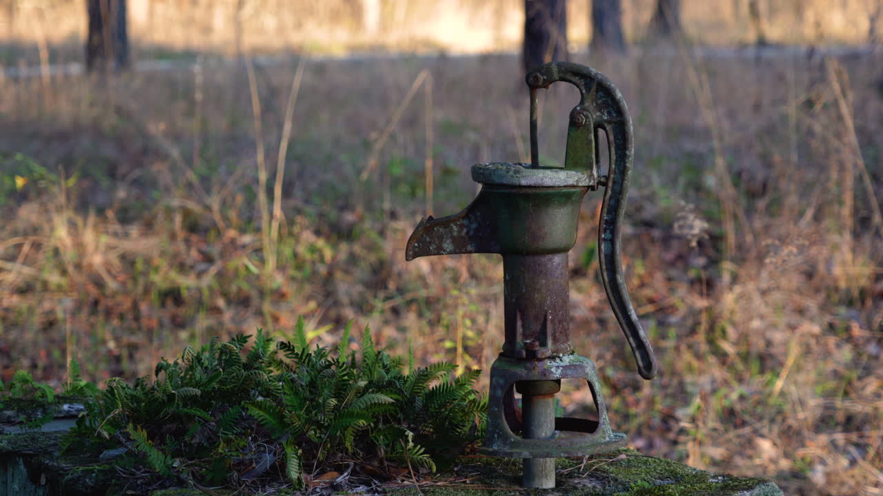 una antigua bomba manual para agua abandonada en una granja de bosques de pinos en carolina del sur