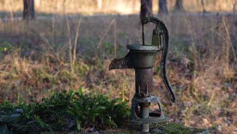 An-old-fashioned-hand-pump-for-water-abandoned-in-a-pine-forest-farm-in-South-Carolina