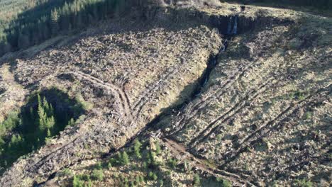 deforestation on a mountain wall at isle of skye in scotland