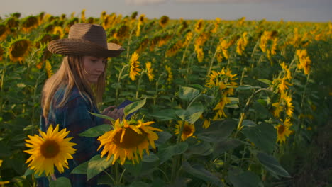 una muchacha granjera está caminando por el campo con muchos girasoles y estudiando sus principales características. está escribiendo algunas cosas importantes en su libro electrónico.