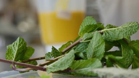 fresh mint leaves with a smoothie background