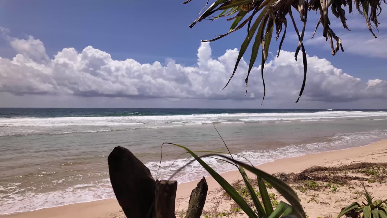 Tropical paradise nature empty beach sandy shore Indian Ocean exotic holiday