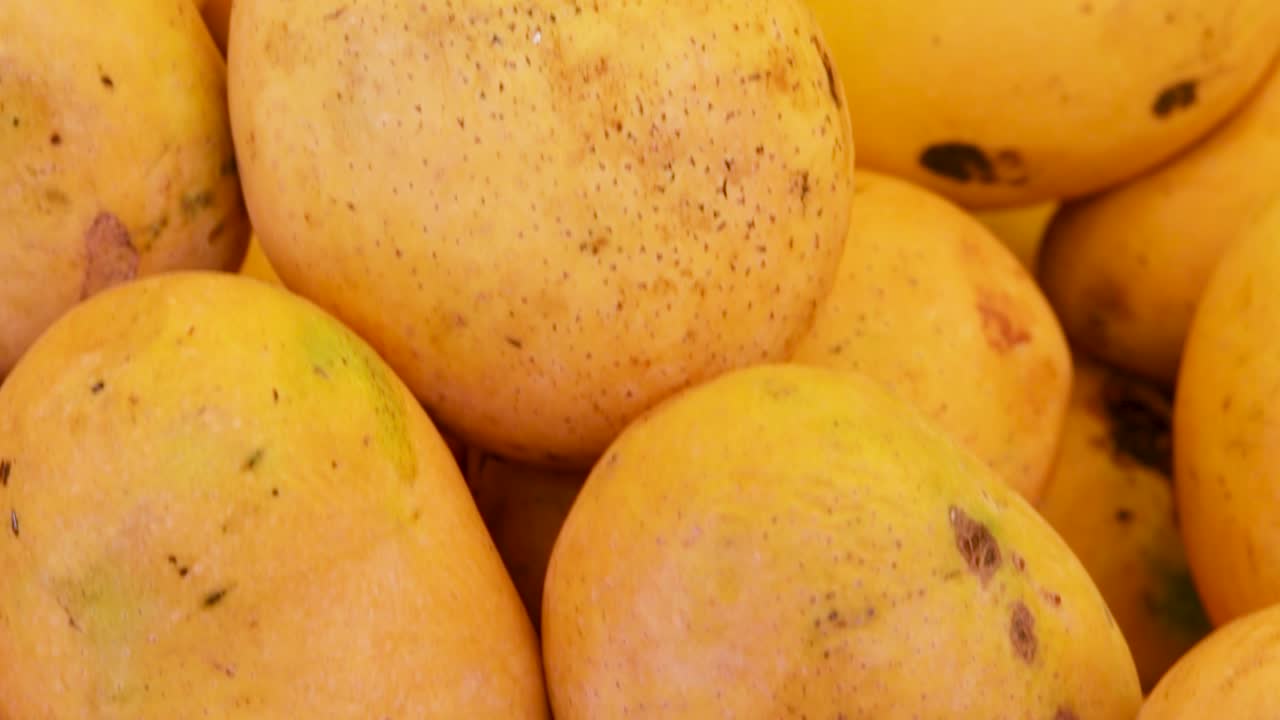 mangos tiernos orgánicos frescos de la granja de cerca desde diferentes ángulos