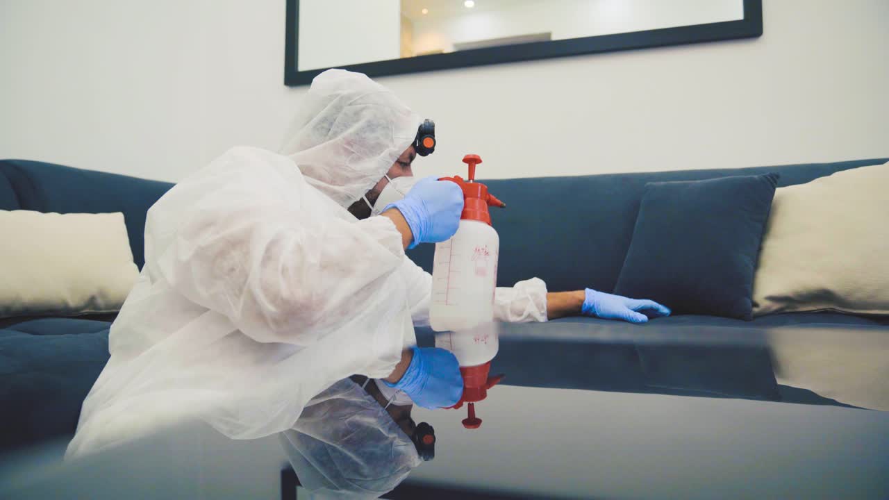 servicio de infestación y tratamiento de chinches