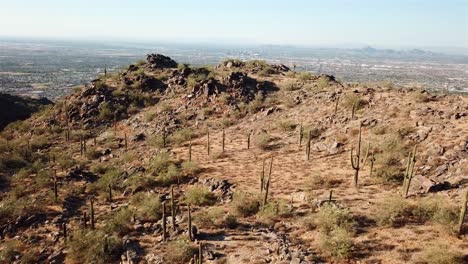 tomada de drone del campo de cactus de saguaro con la ciudad de phoenix