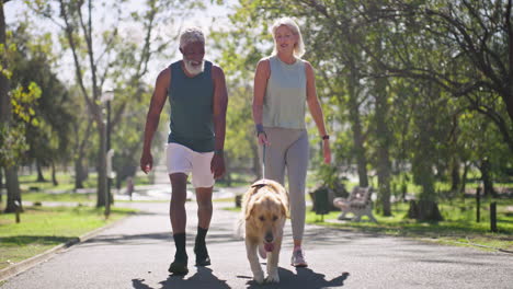 senior couple enjoying a dog walk in the park