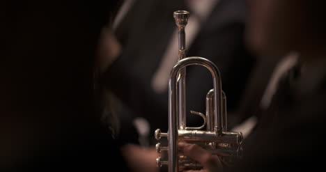 músico tocando la trompeta en el concierto 5