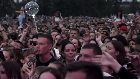 large crowd at an outdoor concert