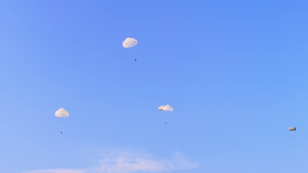 Multiple military paratroopers are descending slowly under white parachutes, captured against clear blue sky during tactical training exercise at Ginkelse Heide, Netherlands.