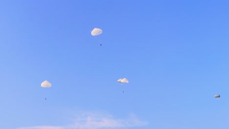 multiple military paratroopers are descending slowly under white parachutes, captured against clear blue sky during tactical training exercise at ginkelse heide, netherlands.