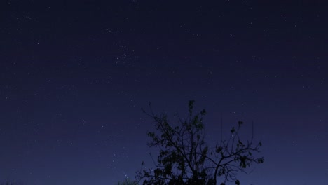 Milky-way-time-lapse,-star-nightlapse-with-a-blinking-lights-tree