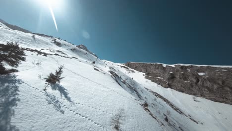 Toma-Cinematográfica-De-Un-Dron-Fpv-De-Una-Ladera-Nevada-Con-Un-Animal-Corriendo-Montaña-Arriba