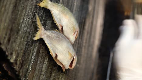 a person preparing fresh fish for cooking