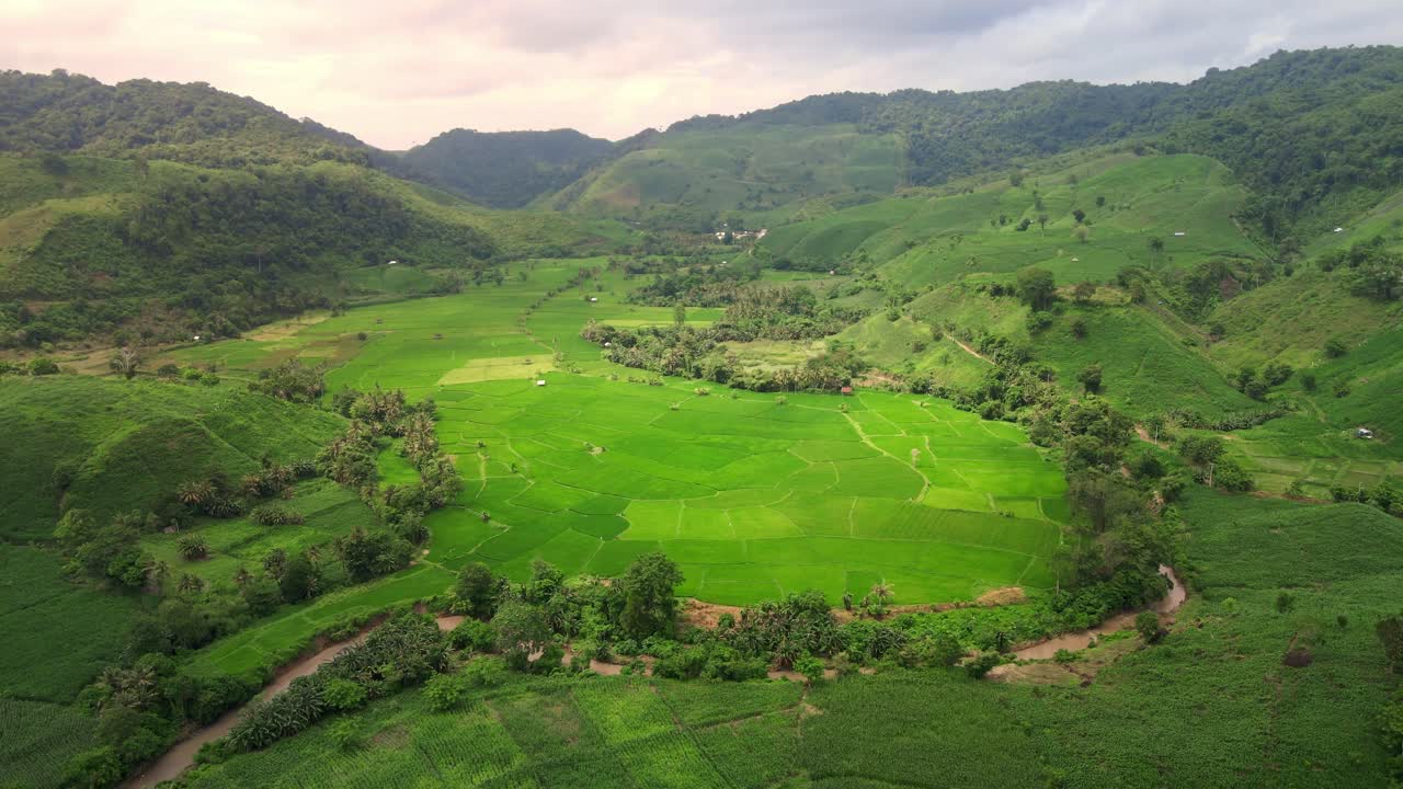 Bidikan Udara Sinematik Lembah Teras Sawah Dikelilingi Bukit Hutan di Sumbawa, Indonesia