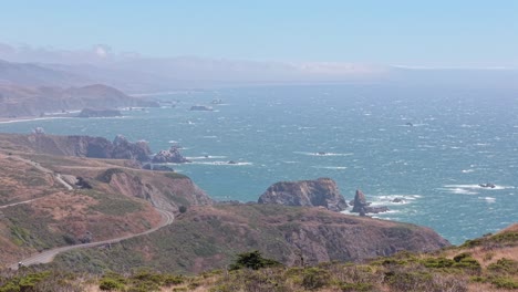 soft light washes over the coastal hills near jenner, illuminating a scene shaped by wind and time