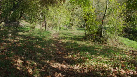 small path to a pond in autumn time