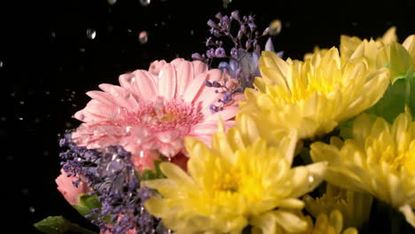 el agua cae sobre las flores frescas