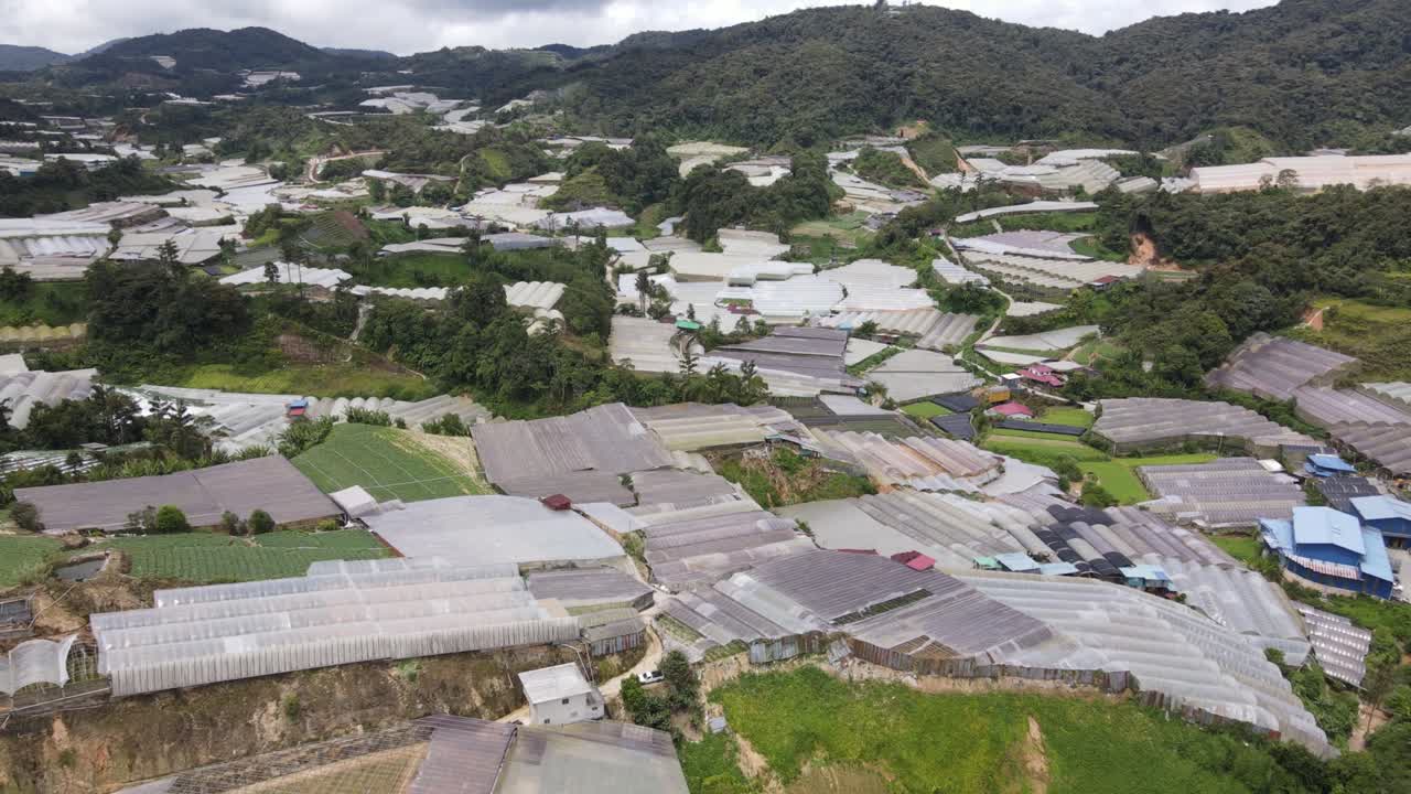 말레이시아의 카메론 하이랜드 지역 내의 브린창 지역의 일반 풍경