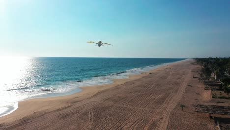 Antena-Orbitando-Sobre-Cometas-Con-Forma-De-Pájaro-Volando-En-La-Playa-Tropical-De-Pie-De-La-Cuesta,-México