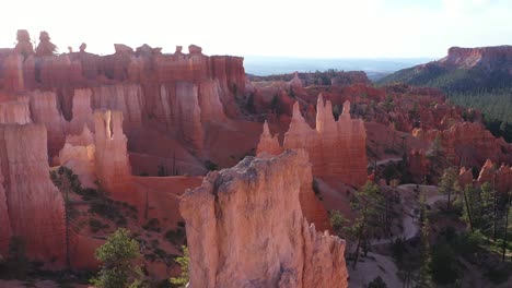 Excellent-Aerial-Shot-Of-Hoodoos-And-Pine-Trees-In-Bryce-Canyon,-Utah