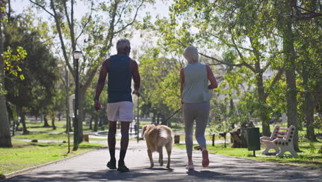 couple walking dog in park