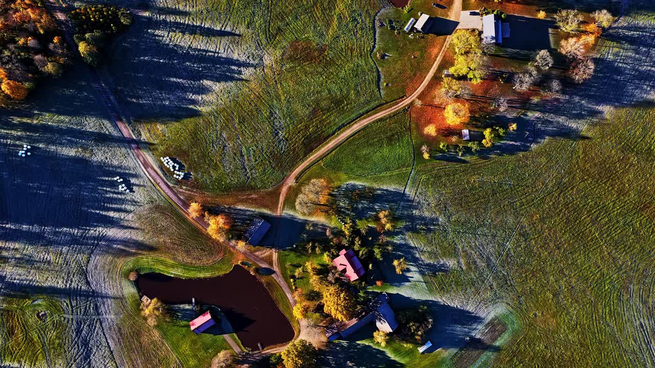 Top-down drone view of colorful rural Latvian homes, trees, and pond during early autumn