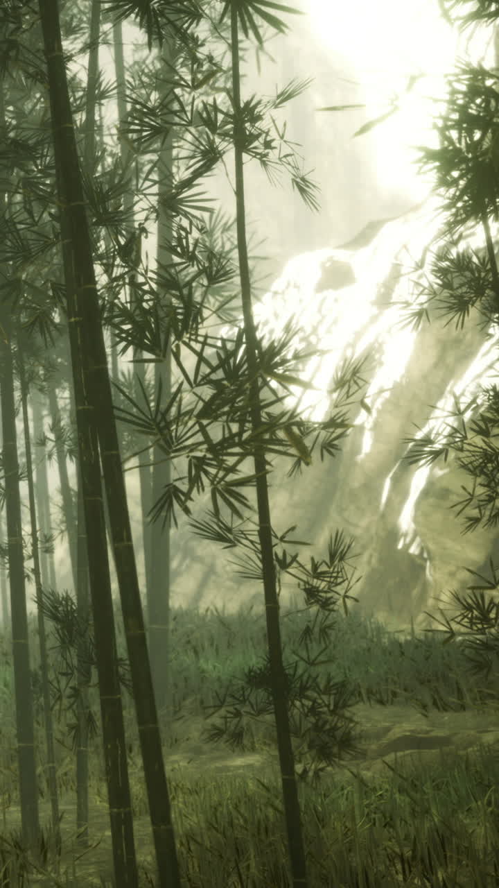 Foresta di bambù con alberi alti e montagne distanti durante le ore diurne
