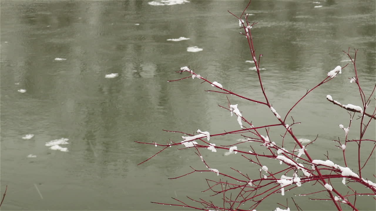 Pieces of ice float slowly in a swollen river during a spring thaw
