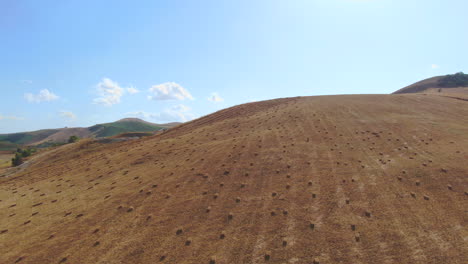 golden field of bales of mowed hay