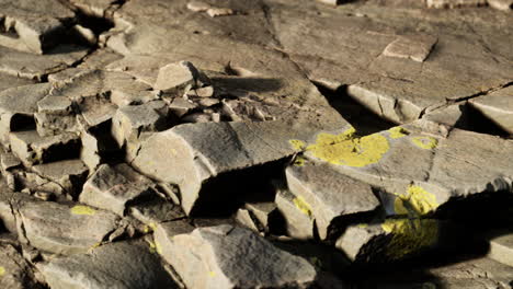 cerca de la formación de piedras rocosas