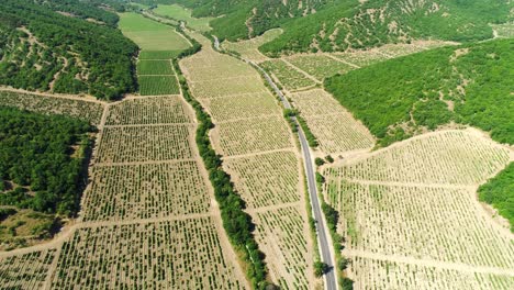 una vista aérea de un valle de viñedos