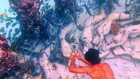 scuba diving among the bask nest underwater sculptures