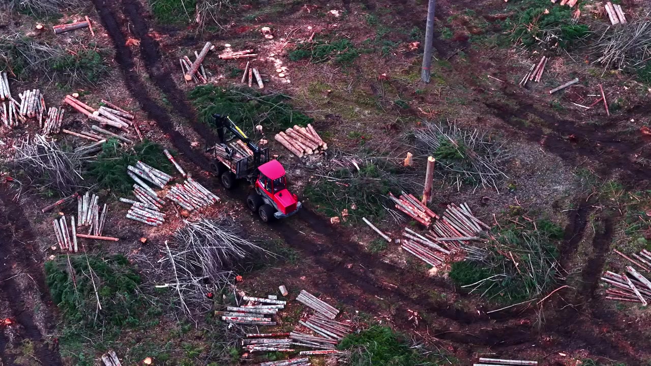 Forwarder loading and transporting timber during a deforestation clearing aerial view