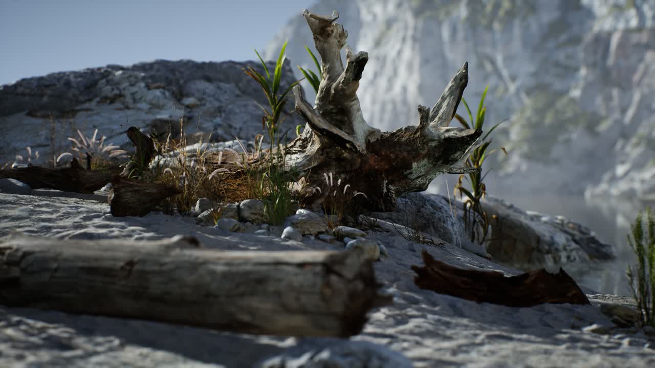 playa de arena blanca cerca de acantilados rocosos en el océano