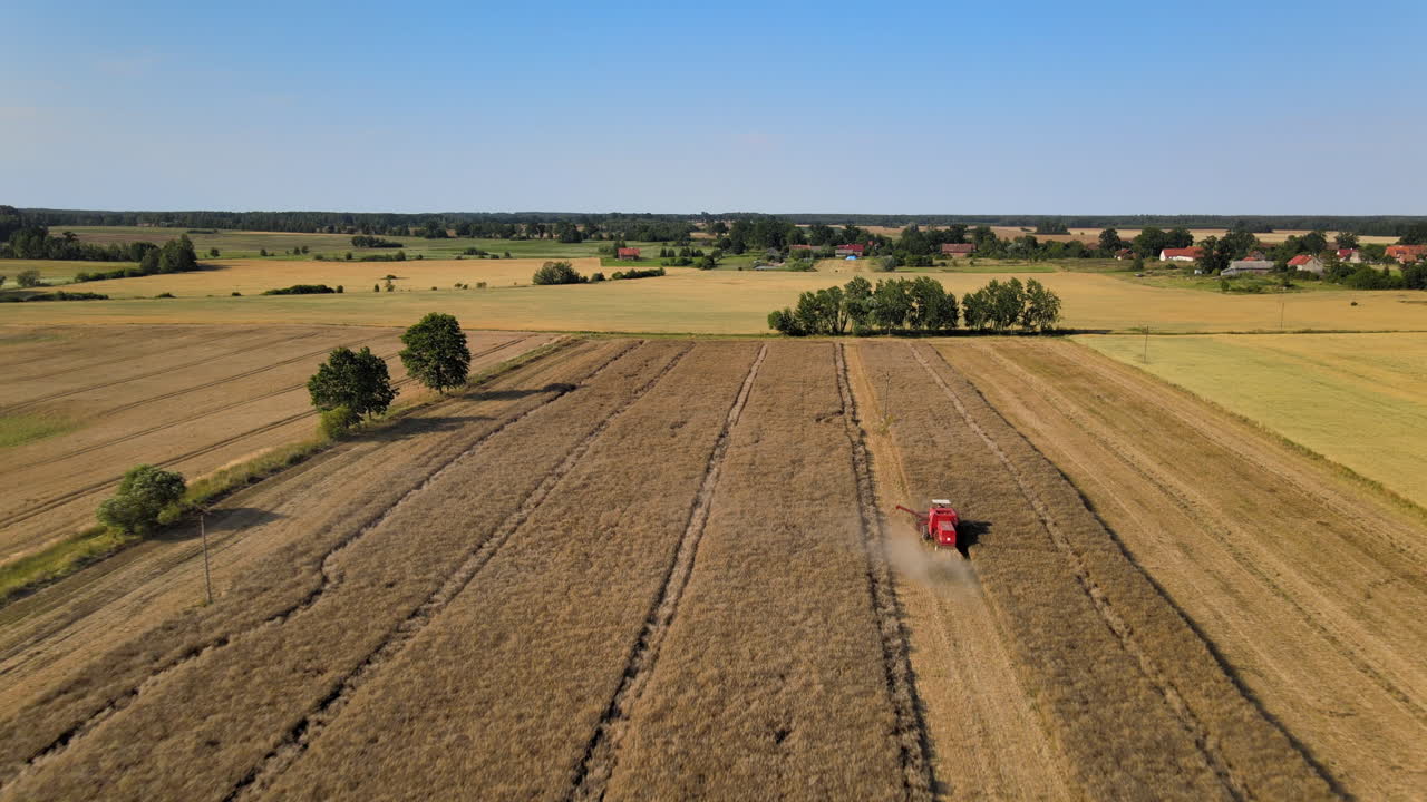 Überflug über großflächige nordeuropäische Landwirtschaft in Polen während der Gerstenernte